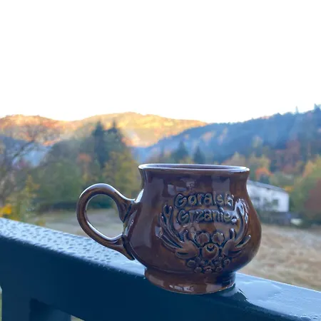 Na Skitowce Z Sauna Appartement Szczyrk