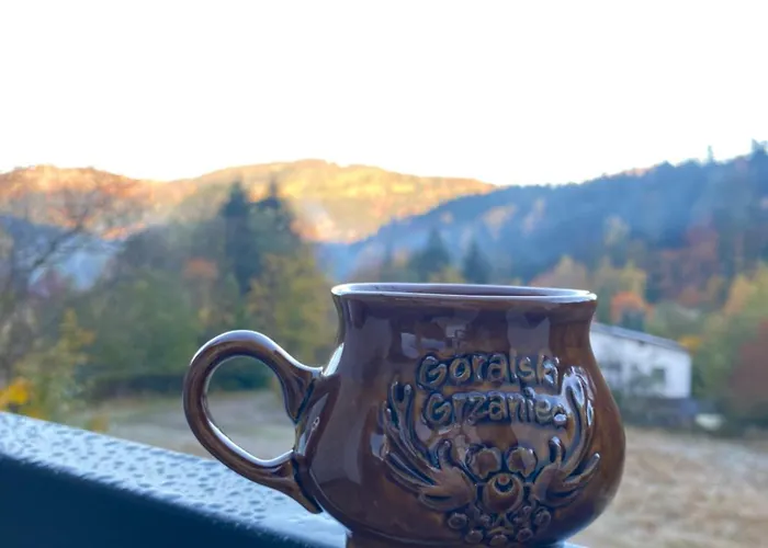 Na Skitowce Z Sauna דירה שצ'צ'ירק